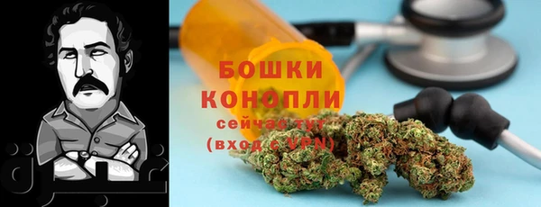мет Мегион