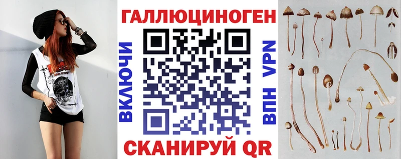 хочу   Краснодар  mega рабочий сайт  Галлюциногенные грибы мухоморы 