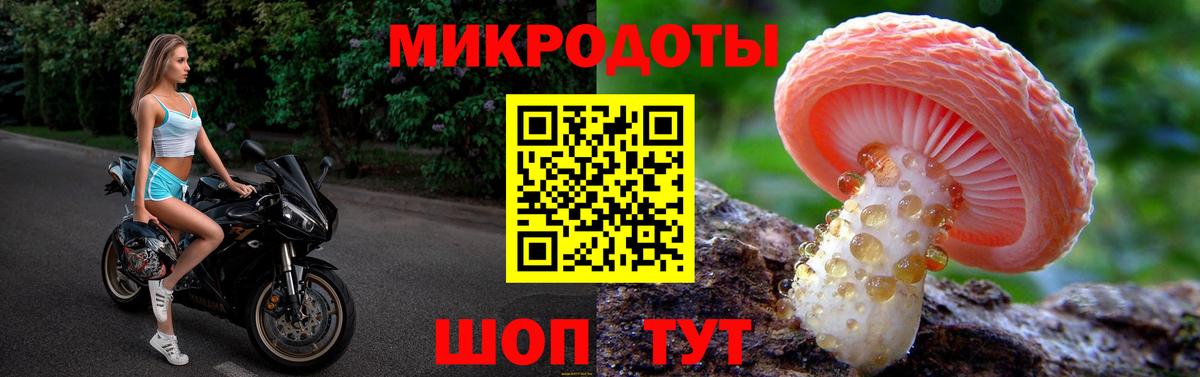 Псилоцибиновые грибы Psilocybe  где купить наркоту  Вход с VPN  Краснодар  Псилоцибиновые грибы ЛСД 